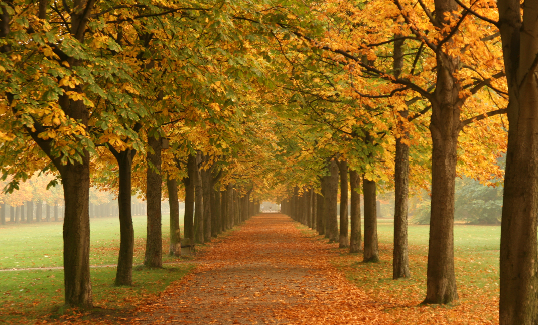 Combatting Winter Dryness and Sudden Weather Changes: Vetted Dermatologists-Approved Tips for Healthy Holiday Skin